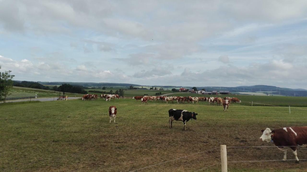 Hanslbauernhof Moosbach  Exteriér fotografie